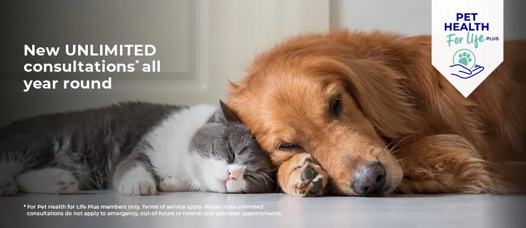 Cat and Dog Pet Health for Life Plans