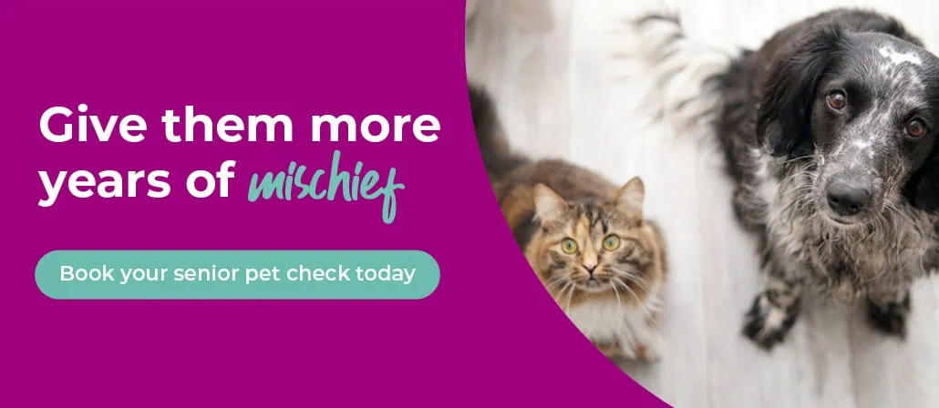 Rickmansworth vets | Chorleywood vets | Chess Vets