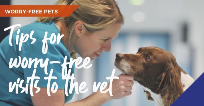Tips for worry-free visits to Chess Vets