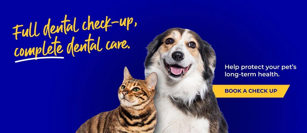 Rickmansworth vets | Chorleywood vets | Chess Vets