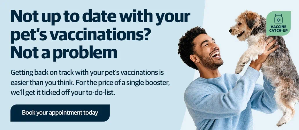 Rickmansworth vets | Chorleywood vets | Chess Vets
