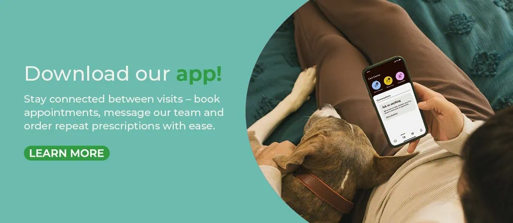 Rickmansworth vets | Chorleywood vets | Chess Vets