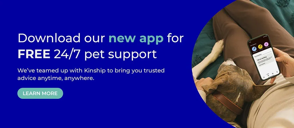 Rickmansworth vets | Chorleywood vets | Chess Vets