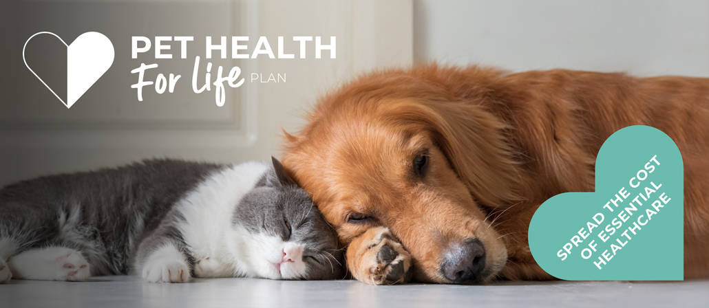 Cat Pet Health for Life Plan