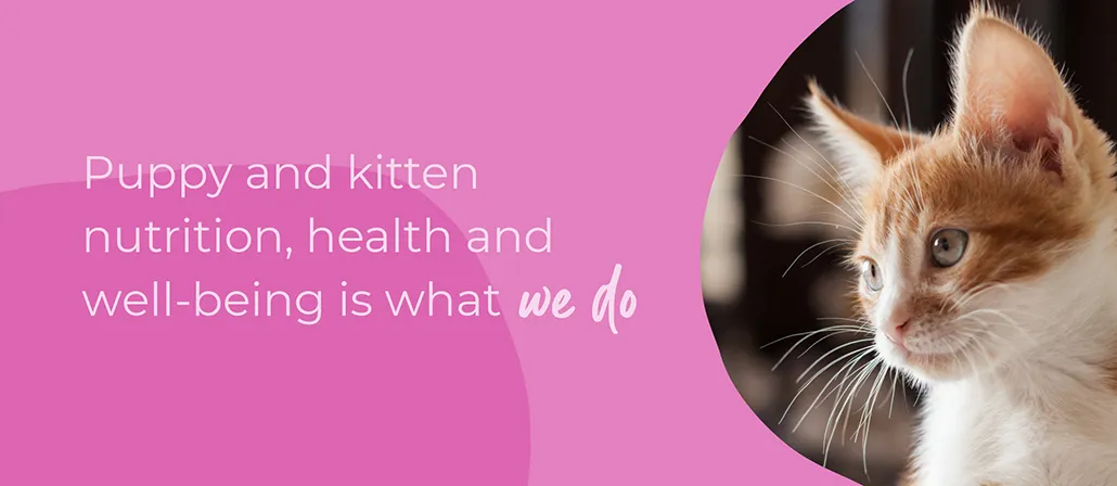 Start of Life for Your Puppy or Kitten