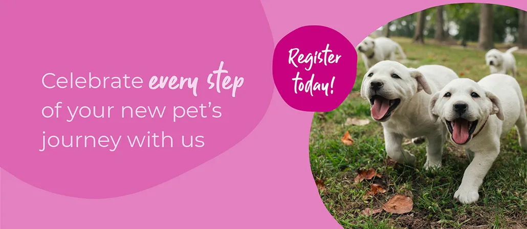 Start of Life for Your Puppy or Kitten